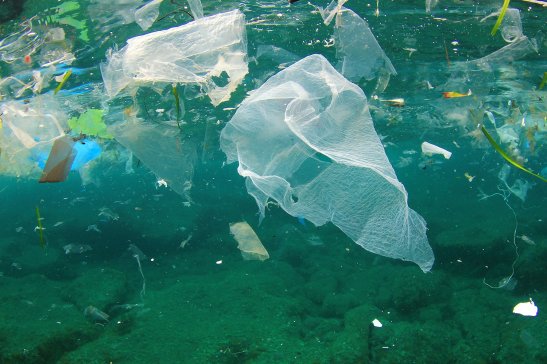 塑料污染趋于严峻 治理需要各界合力