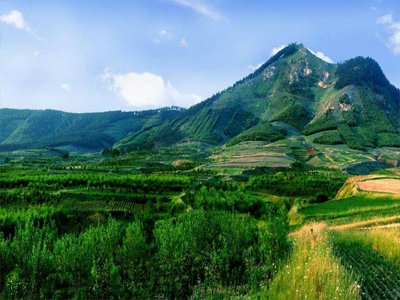 《宁夏回族自治区绿色矿山建设行动 方案（2021-2022年）》