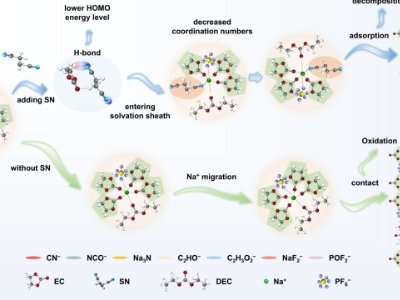 钠离子电池电解液新进展！大连化物所揭示双-C≡N极性基团调控溶剂化结构和正极界面协同作用机制