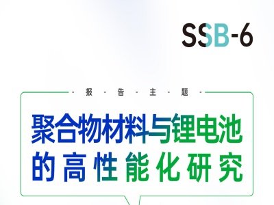 【会议报告】聚合物材料与锂电池的高性能化研究