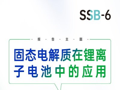 【会议报告】固态电解质在锂离子电池中的应用