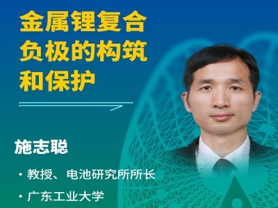 【会议报告】金属锂复合负极的构筑和保护