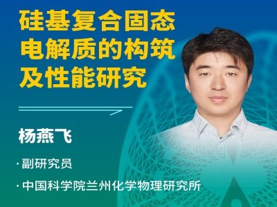 【会议报告】硅基复合固态电解质的构筑及性能研究