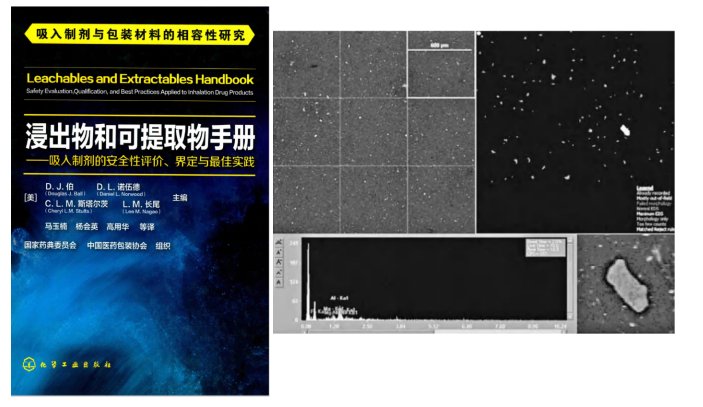 全自动颗粒检测系统进行 全自动颗粒识别、粒径测量和元素分析