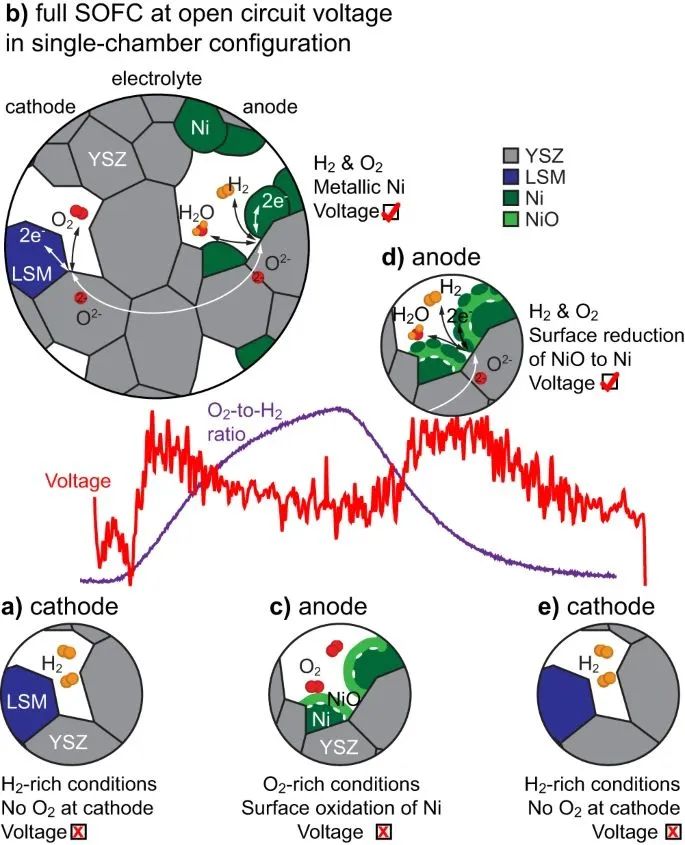 在 ETEM 中观察到的单室配置 SOFC 运行示意图。