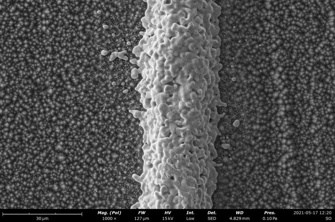 晶硅电池 Ag 电极表面扫描电镜图