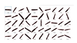 101730_506785_jswz.png